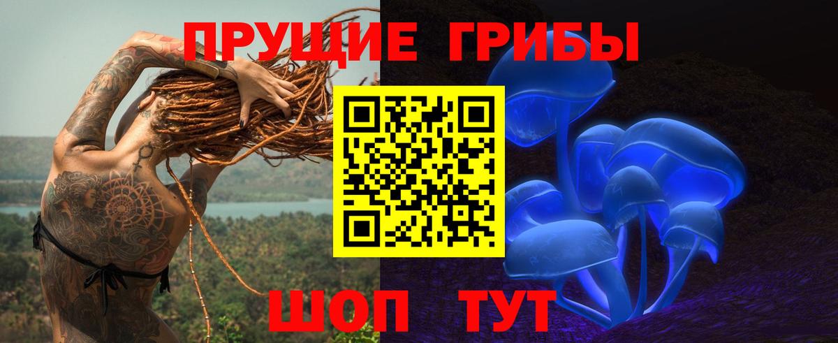 Галлюциногенные грибы мицелий Донецк
